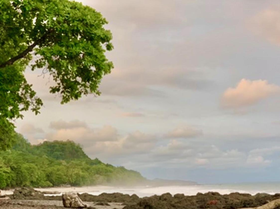 Sunshine Sanctuary Boutique Jungle Lodge Montezuma Luaran gambar