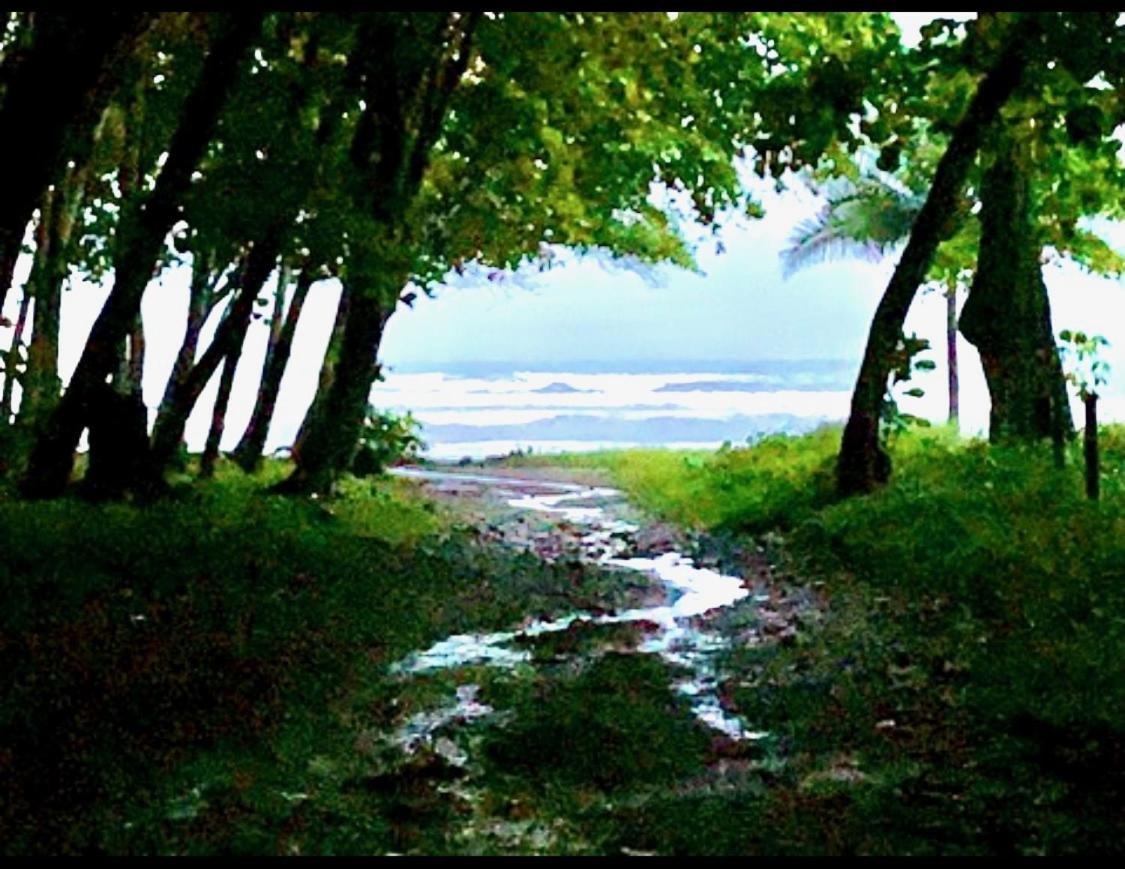 Sunshine Sanctuary Boutique Jungle Lodge Montezuma Luaran gambar