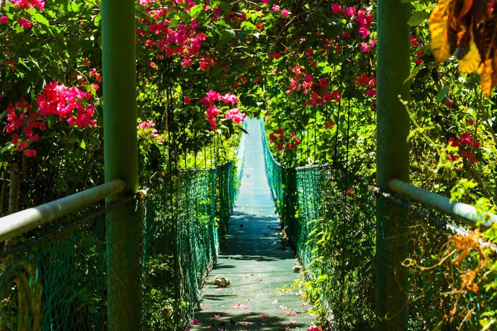 Sunshine Sanctuary Boutique Jungle Lodge Montezuma Luaran gambar