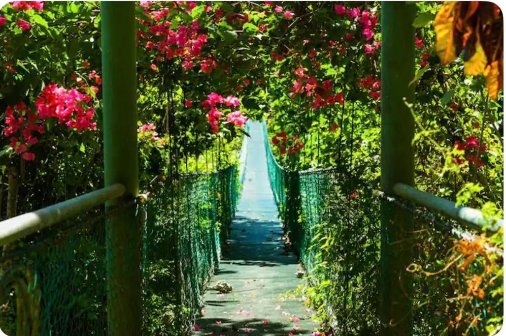 Sunshine Sanctuary Boutique Jungle Lodge Montezuma Luaran gambar