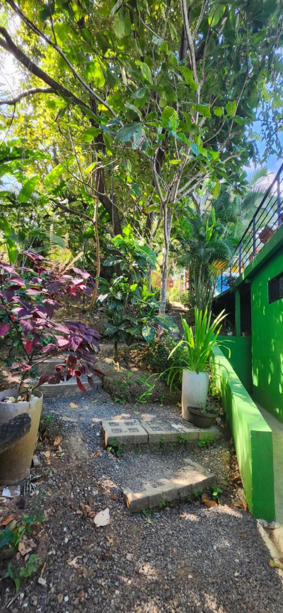 Sunshine Sanctuary Boutique Jungle Lodge Montezuma Luaran gambar